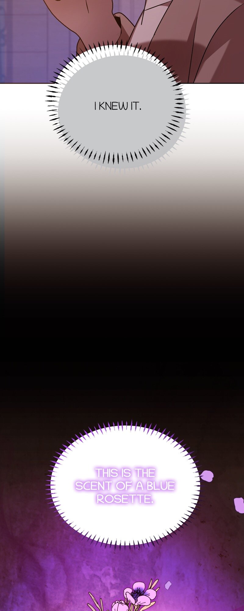 52882905 800 2000 121749